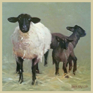 Ewe And Lambs