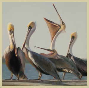 Pelican Party